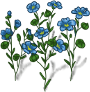 flax-plant-adult.png